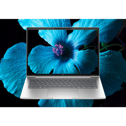 HP ProBook 4 G1iR Intel Core 5 120U Computer portatile 35,6 cm (14") WUXGA 16 GB DDR5-SDRAM 512 GB SSD Wi-Fi 6E (802.11ax) Windows 11 Pro Argento - immagine 7